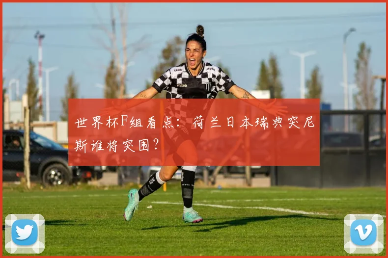 世界杯F组看点：荷兰日本瑞典突尼斯谁将突围？